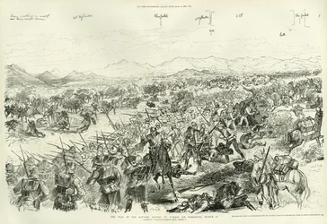 Slaget ved Tamai den 13. marts 1884, 1884